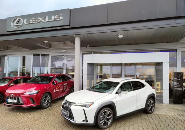 lexus Lexus UX cena 137900 przebieg: 36872, rok produkcji 2019 z Gołdap